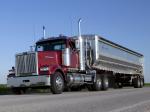 Western Star 4900 EX 2008 года